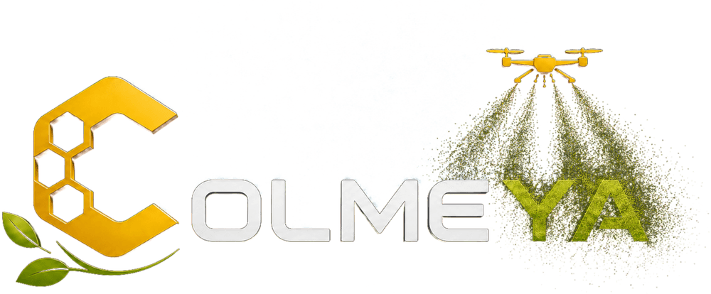 Colmeya